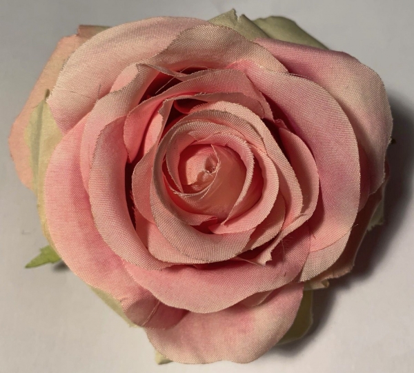 Rosenkopf rosa